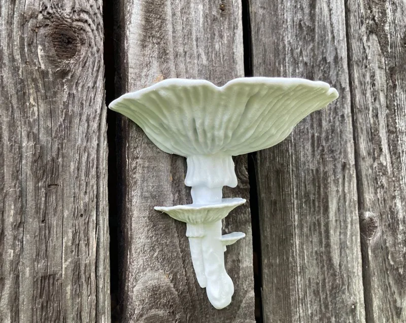 Stromhuba - Amanita